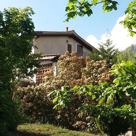 Eucalipto Apartamento *