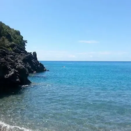 Eucalipto * Ascea