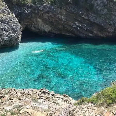 Eucalipto
