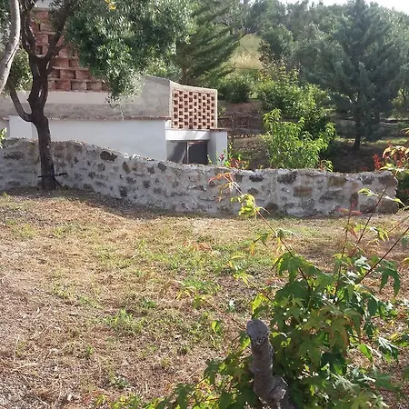 Eucalipto Ascea