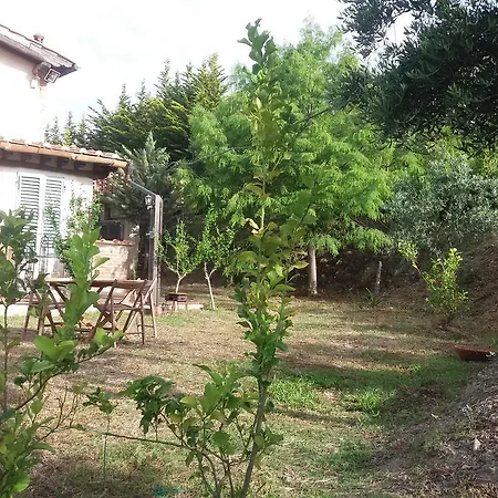 Eucalipto Apartamento *